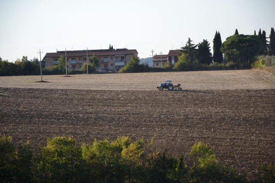 Perugia Farmhouse Villa Eksteriør billede